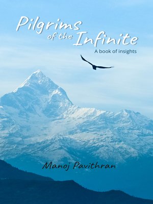 cover image of Pilgrims of the Infinite